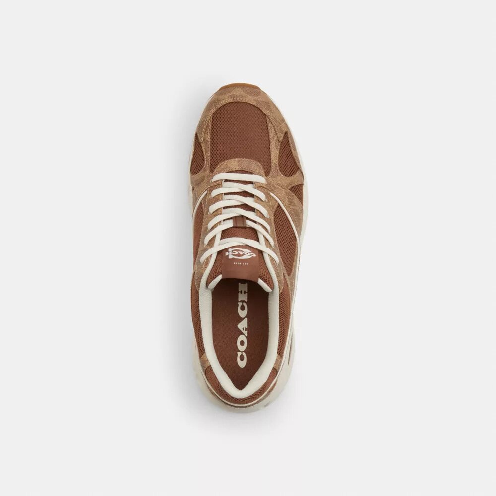 Αθλητικά Sneakers από Signature Canvas