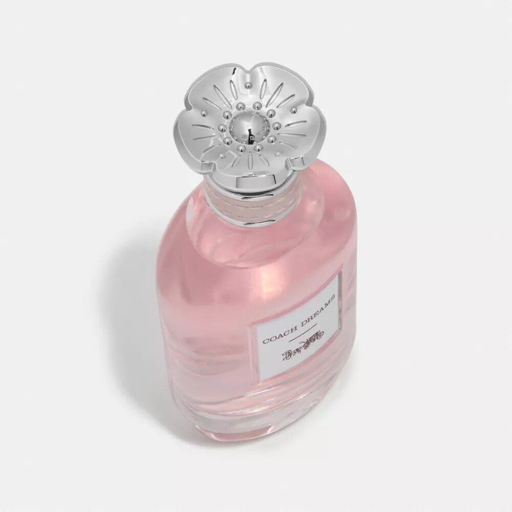 Dreams Eau De Parfum 90 ml