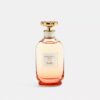 Dreams Sunset Eau De Parfum 90 ml