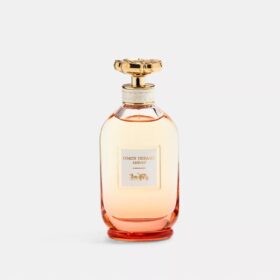 Dreams Sunset Eau De Parfum 90 ml