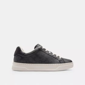 Ψηλά Sneakers από το Signature Canvas