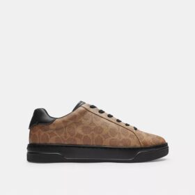 Ψηλά Sneakers από το Signature Canvas