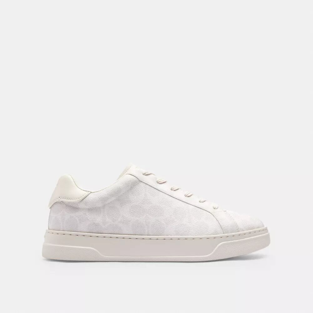 Ψηλά Sneakers από το Signature Canvas