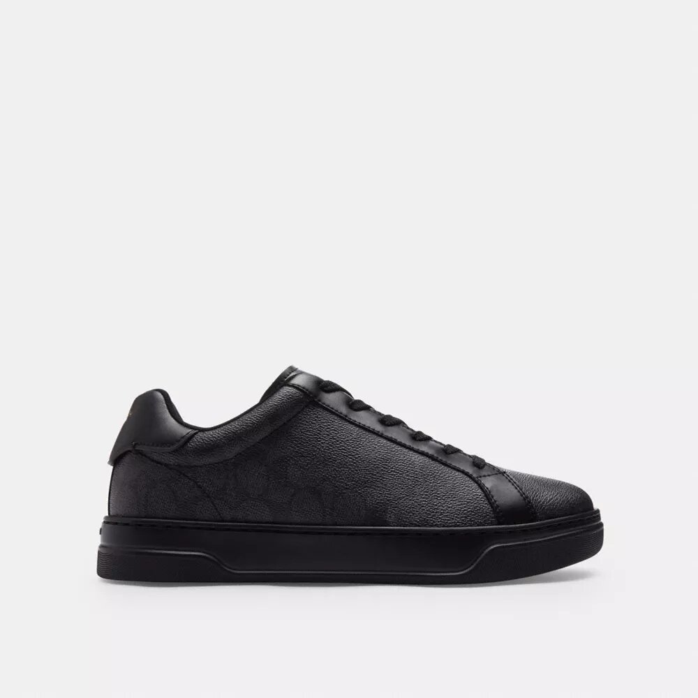 Ψηλά Sneakers από το Signature Canvas