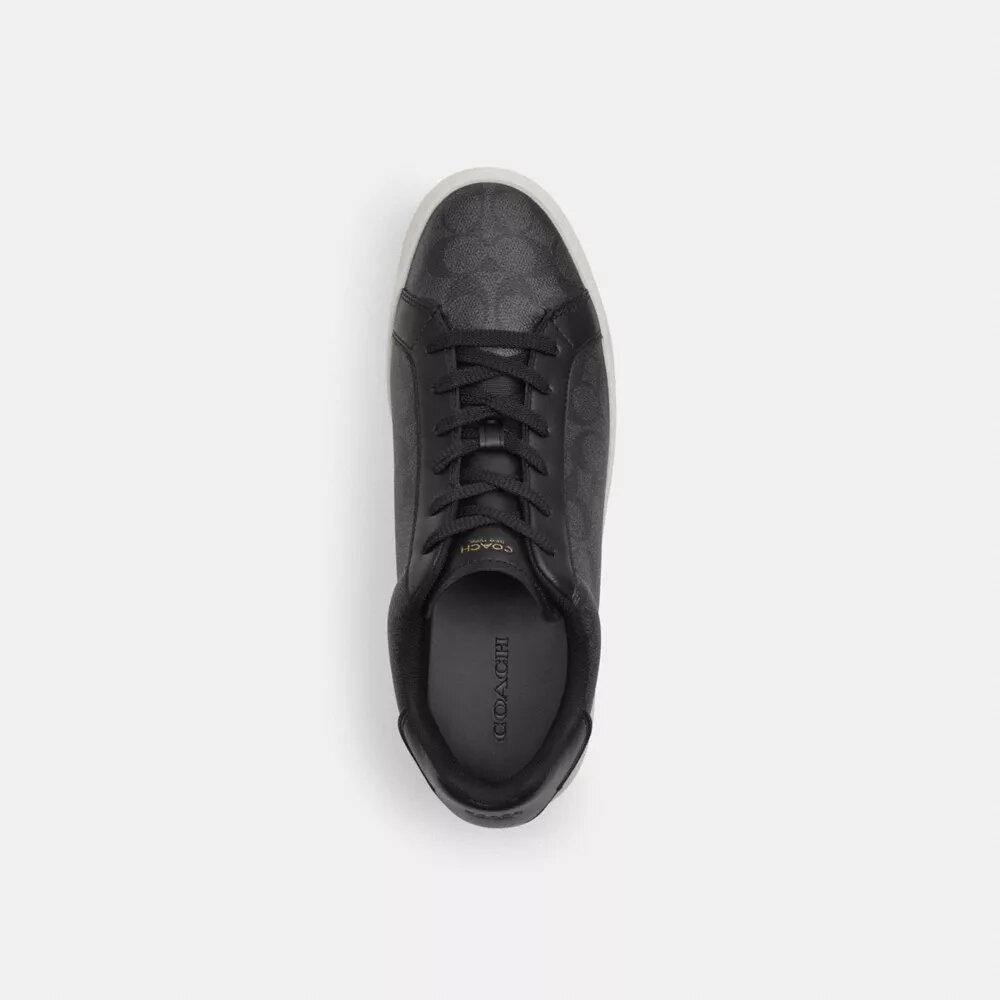 Ψηλά Sneakers από το Signature Canvas