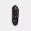 Ψηλά Sneakers από το Signature Canvas