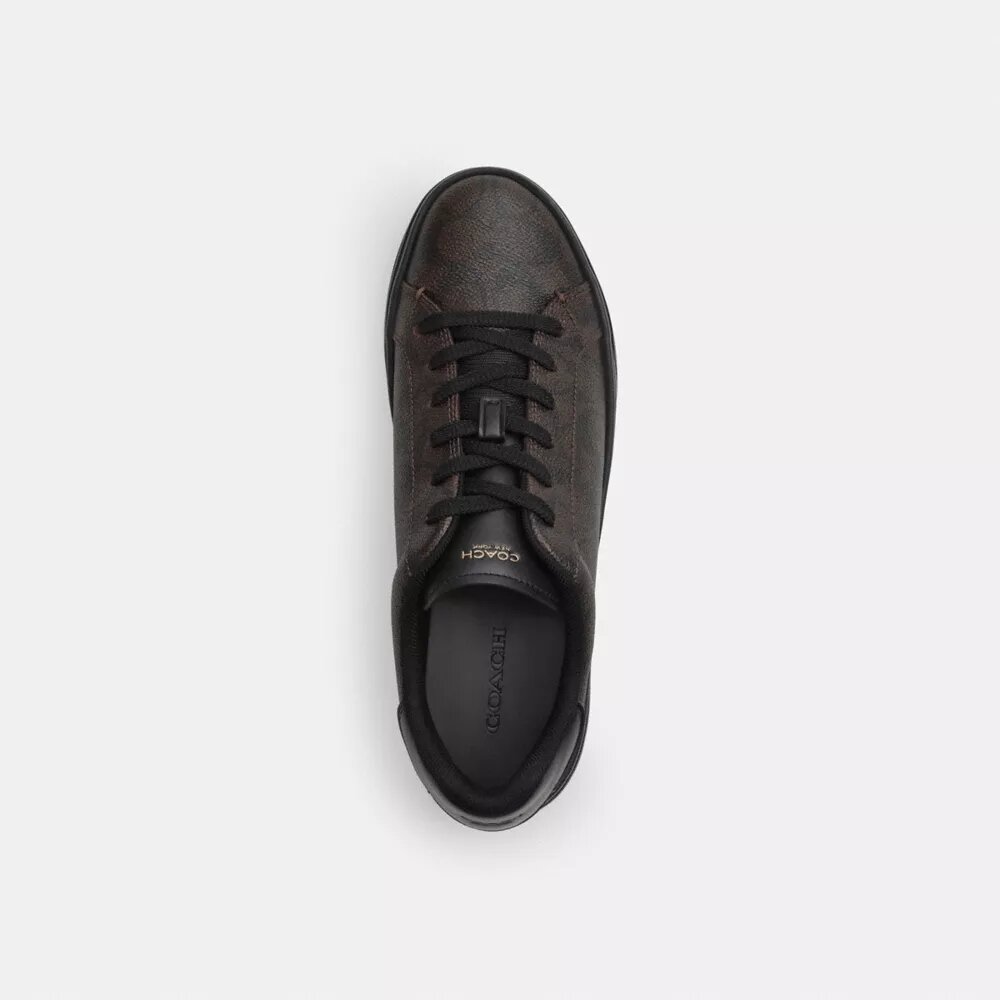 Ψηλά Sneakers από το Signature Canvas