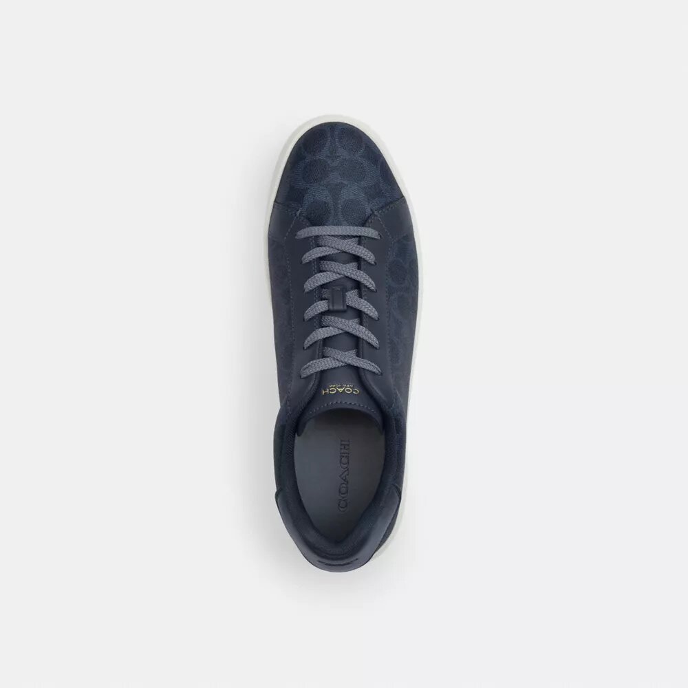 Ψηλά Sneakers από το Signature Canvas