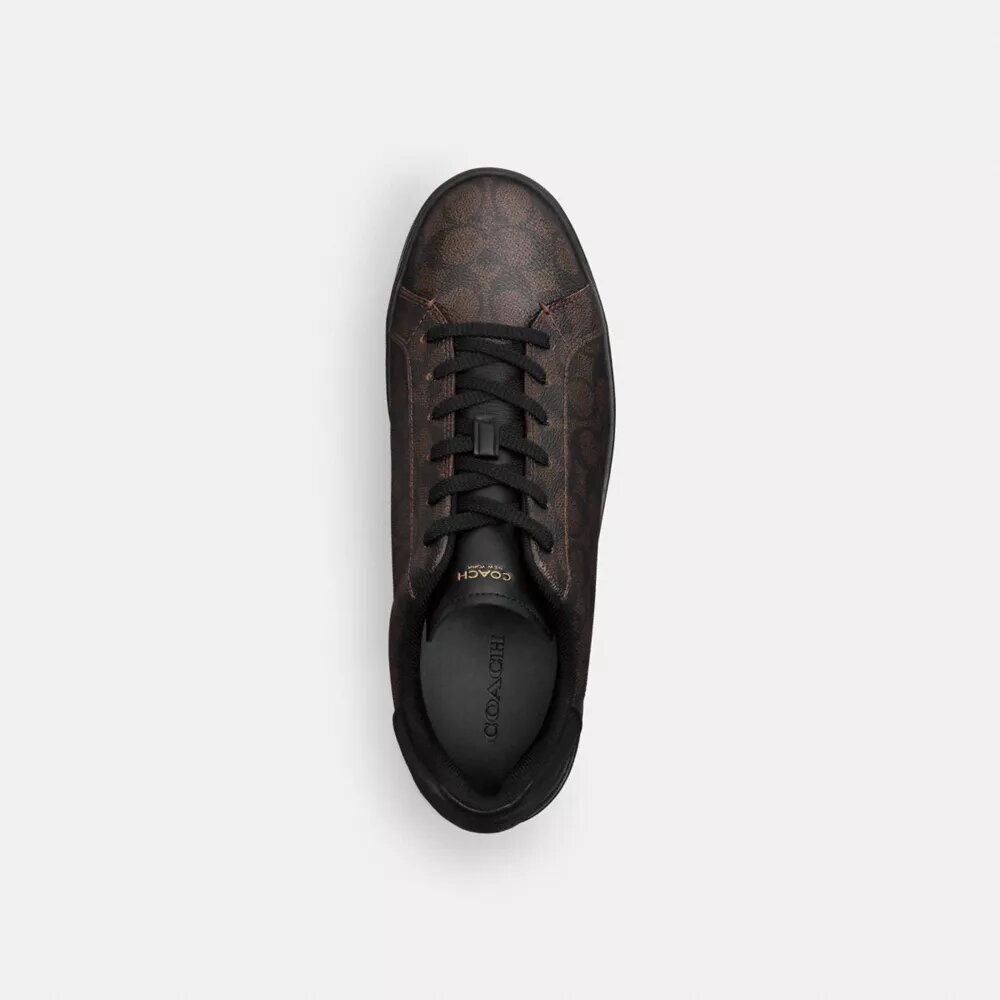 Ψηλά Sneakers από το Signature Canvas