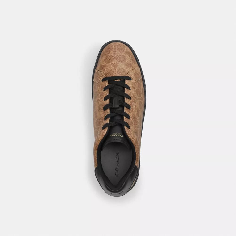 Ψηλά Sneakers από το Signature Canvas