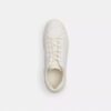 Ψηλά Sneakers από το Signature Canvas