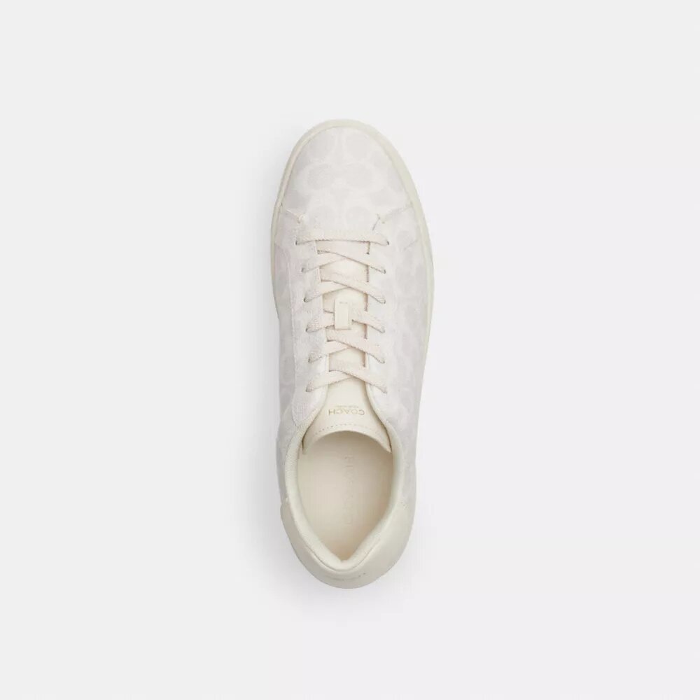 Ψηλά Sneakers από το Signature Canvas