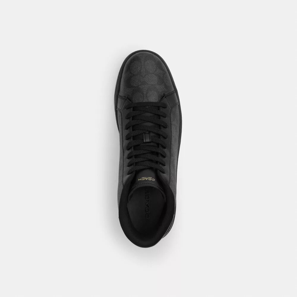 Ψηλά Sneakers από το Signature Canvas