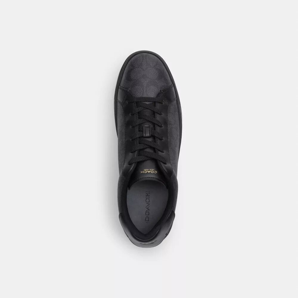 Ψηλά Sneakers από το Signature Canvas