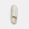 Ψηλά Sneakers από το Signature Canvas