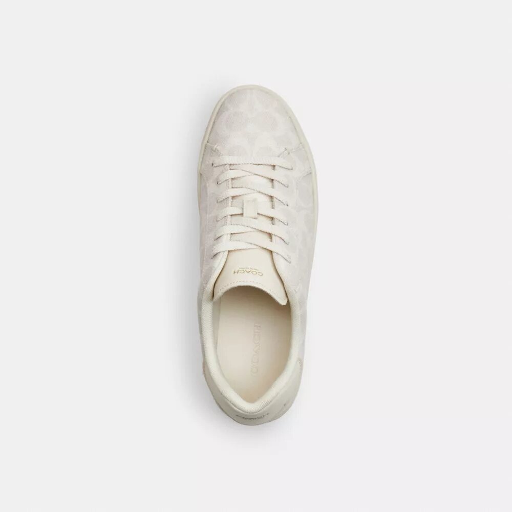 Ψηλά Sneakers από το Signature Canvas