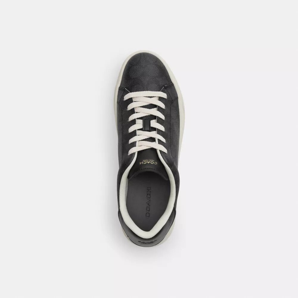 Ψηλά Sneakers από το Signature Canvas