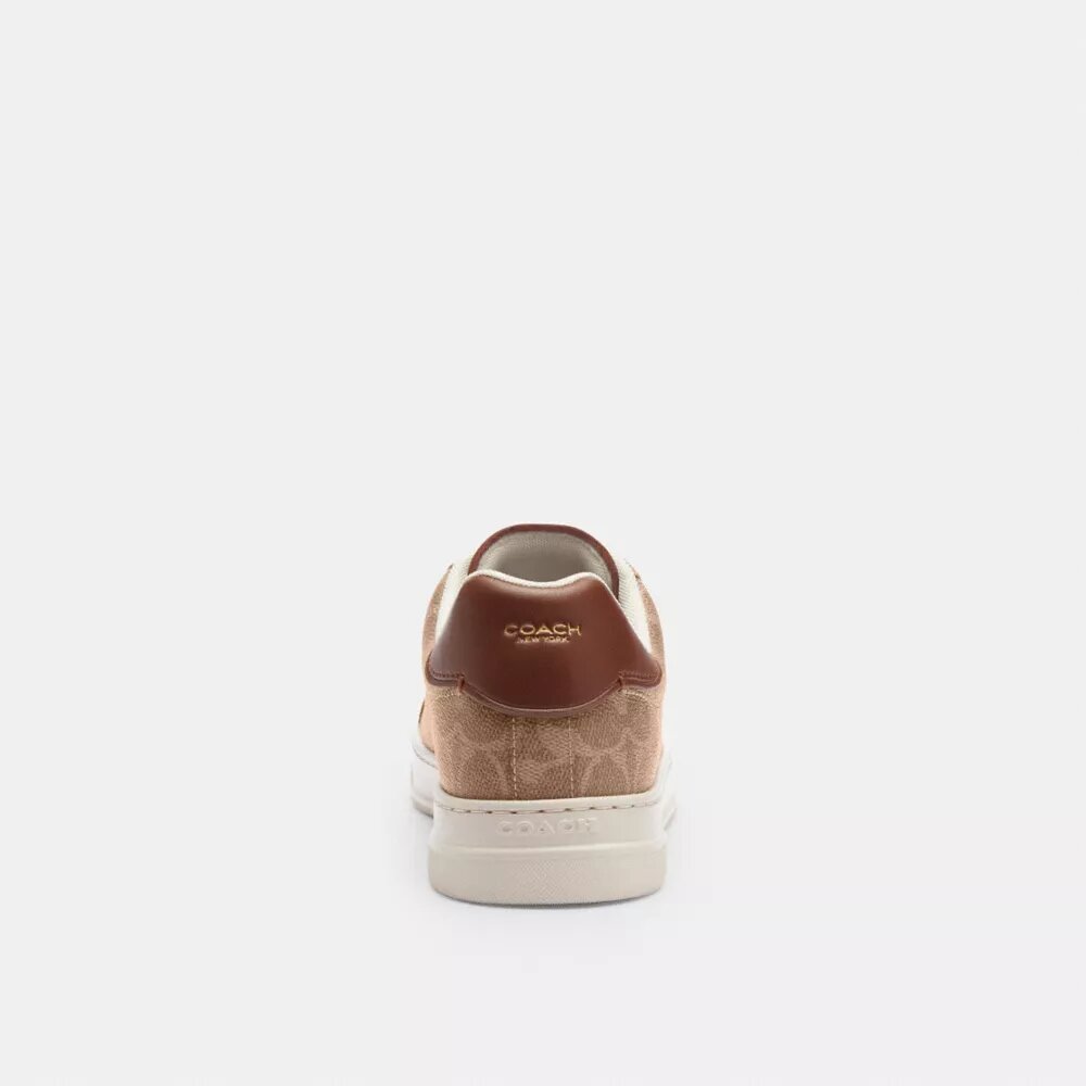 Ψηλά Sneakers από το Signature Canvas