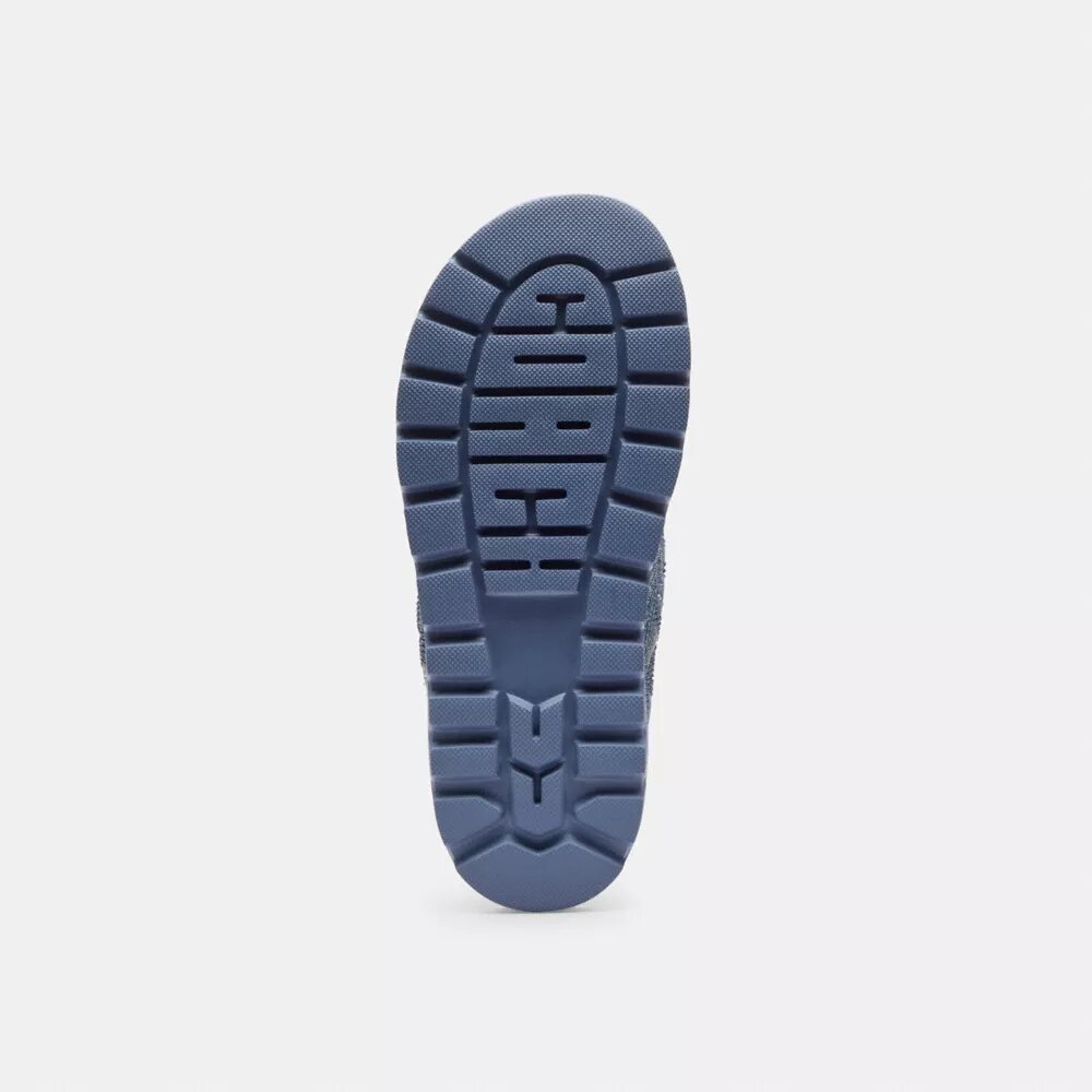 Σανδάλια Brynn Thong σε Crystal Signature Denim