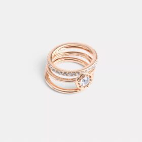 Σετ δαχτυλιδιών «Halo Tea Rose»