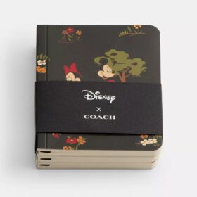 Σετ μίνι σημειωματάριων Disney X Coach με τον Μίκυ Μάους και τους φίλους του