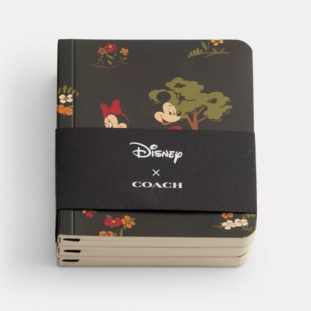 Σετ μίνι σημειωματάριων Disney X Coach με τον Μίκυ Μάους και τους φίλους του