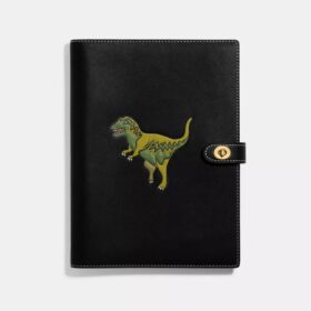 Σημειωματάριο με τον Rexy
