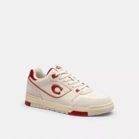 Sneakers Soho