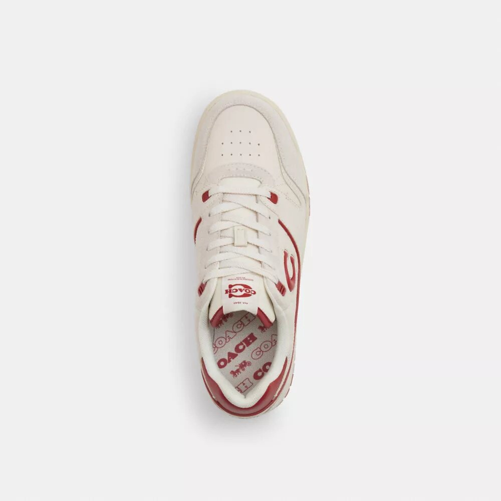 Sneakers Soho
