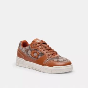 Sneakers Soho σε Crystal Signature Jacquard