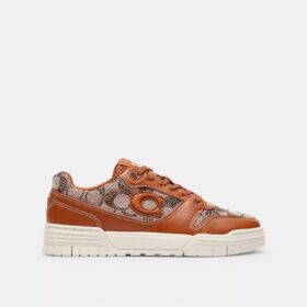 Sneakers Soho σε Crystal Signature Jacquard
