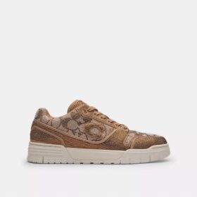 Sneakers Soho σε Crystal Signature Jacquard