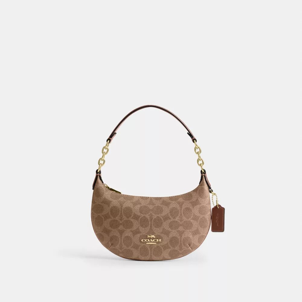 Τσάντα Mini Payton από Signature Canvas