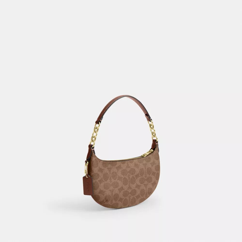 Τσάντα Mini Payton από Signature Canvas